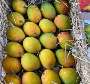 WhatsApp Image 2025-02-10 at 11.37.32_03e71a69