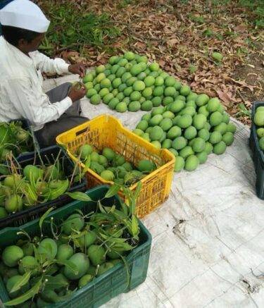 WhatsApp Image 2025-02-10 at 12.19.52_b66cadc1